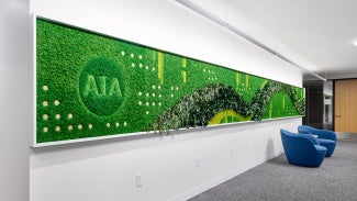 Wall with plant-like surface